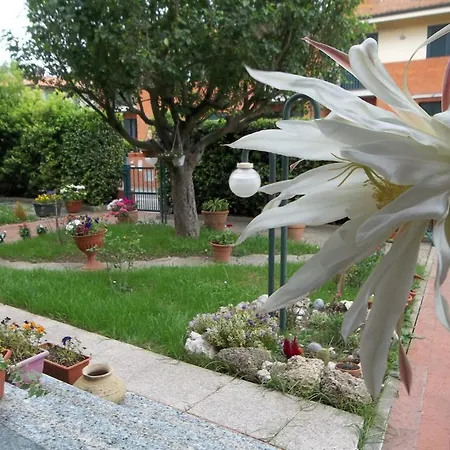 Le Zizzole Bed & Breakfast