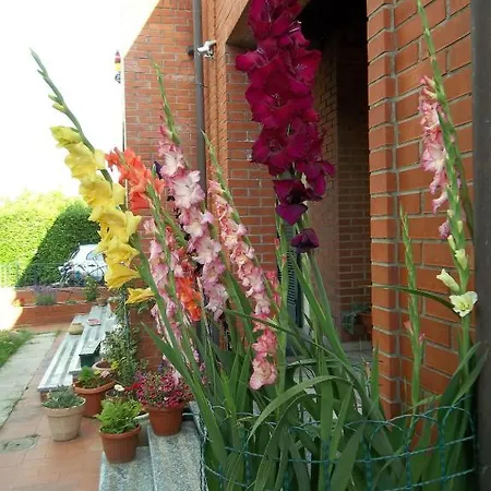 Bed & Breakfast Le Zizzole