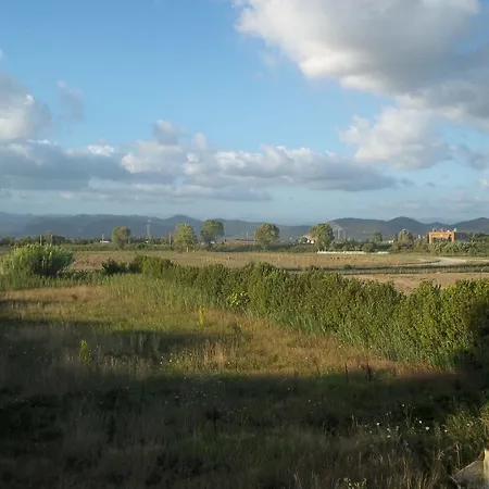 Bed & Breakfast Le Zizzole Migliarino